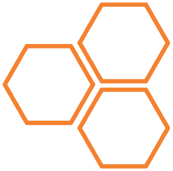 Beehive Insurance